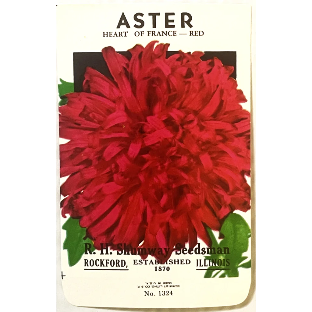 Vintage 1960s 🐝 R. H. Shumway Aster Seed Packet Rockford IL Pioneer of Seeds! Collectibles Rare R.H. Packet: