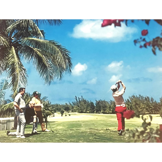 Vintage 1970s Large Florida ⛳ 18 Hole Golf Postcard Sunshine State Memorabilia! Advertisements Antique Collectible Items