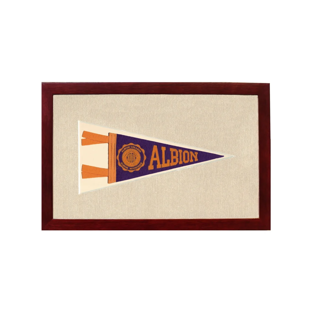 Vintage Albion College Pennant | 1950s Wool Felt Pennant Framed Display | vintageantiquesgifts.com