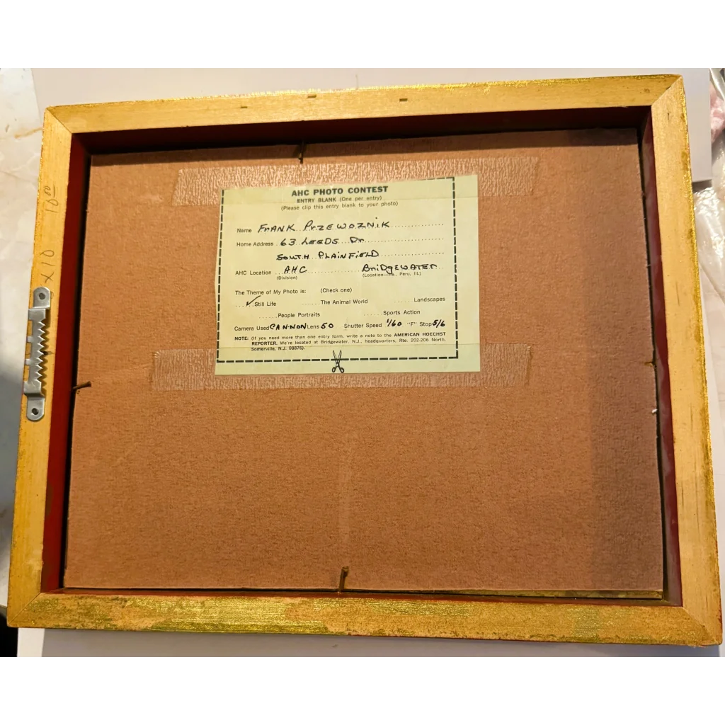 Vintage American Hoechst contest entry bonfire photo in gold-framed album with 50mm lens