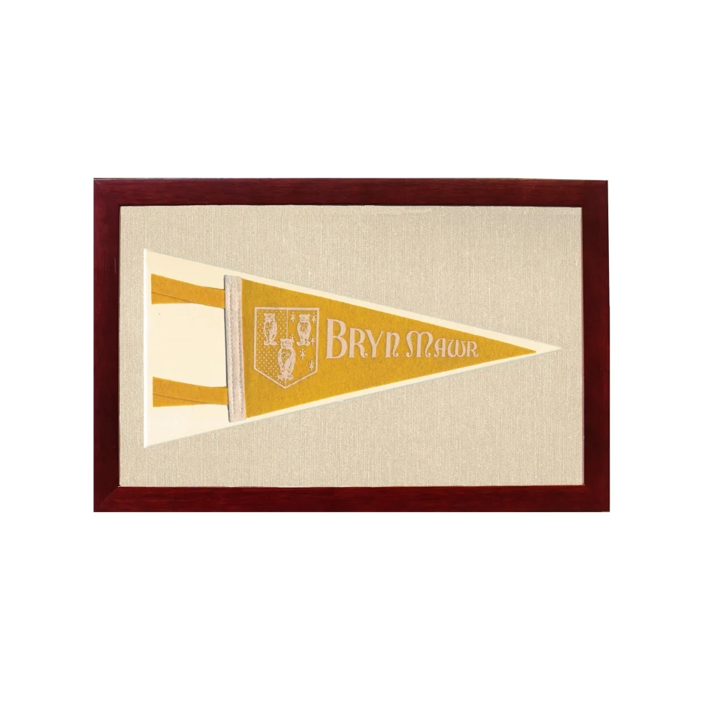Vintage Bryn Mawr College Pennant | 1950s Wool Felt Pennant Framed Display | vintageantiquesgifts.com