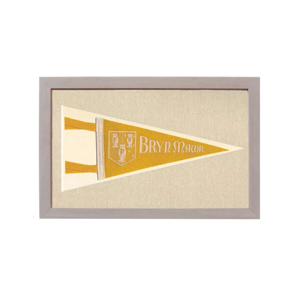 Vintage Bryn Mawr College Pennant | Rare Vintage Wool Felt Pennant Flag | vintageantiquesgifts.com