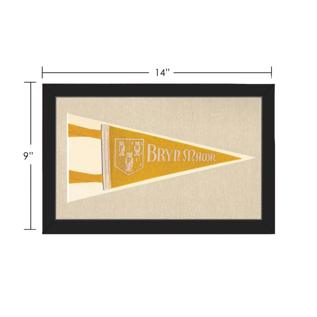 Vintage Bryn Mawr College Pennant | Vintage Collectible Sports Pennant | vintageantiquesgifts.com