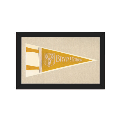 Vintage Bryn Mawr College Pennant | Americana Memories | vintageantiquesgifts.com