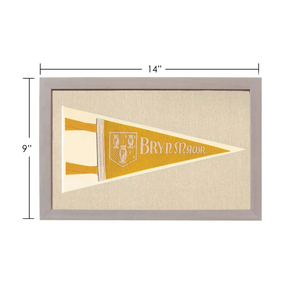 Vintage Bryn Mawr college pennant in yellow, cream, framed