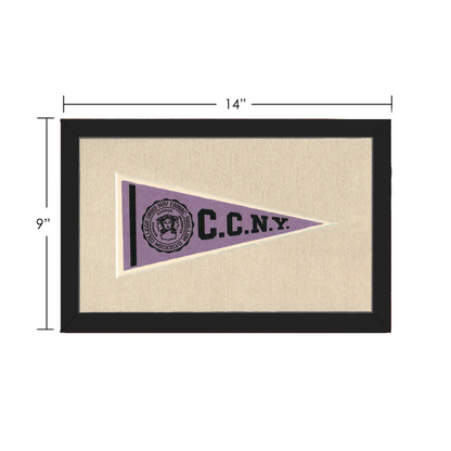 Vintage City College of New York Pennant | Vintage Collectible Sports Pennant | vintageantiquesgifts.com