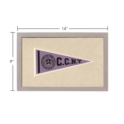 Vintage City College of New York purple triangular pennant