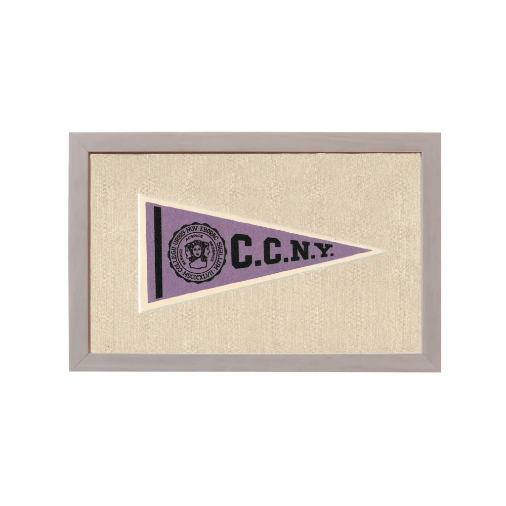 Vintage City College of New York Pennant | Rare Vintage Wool Felt Pennant Flag | vintageantiquesgifts.com