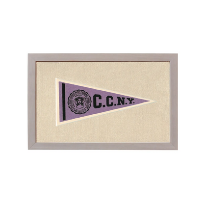 Vintage City College of New York Pennant | Rare Vintage Wool Felt Pennant Flag | vintageantiquesgifts.com