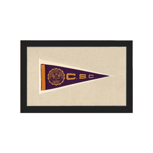 Vintage Colorado State College Pennant | Americana Memories | vintageantiquesgifts.com