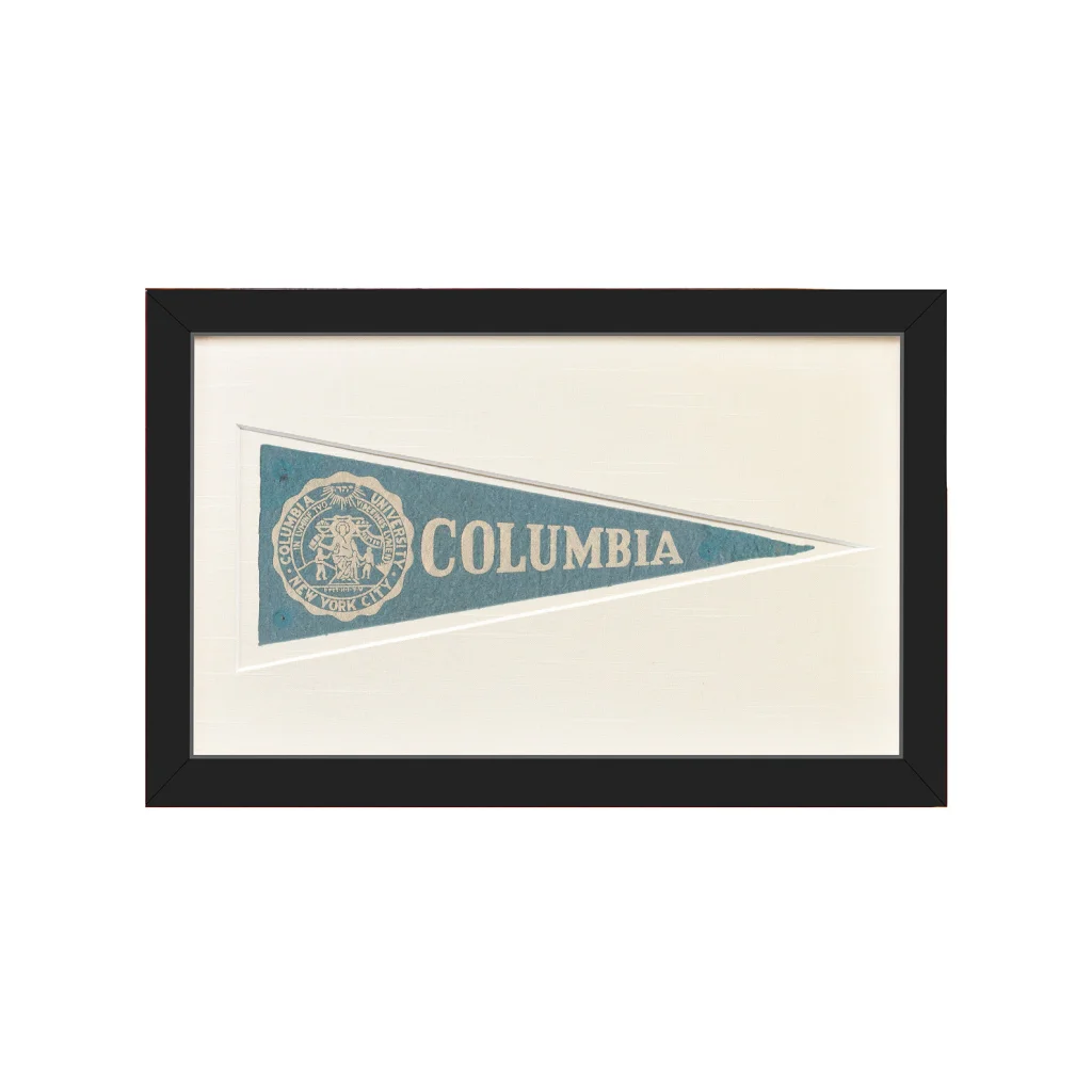 Framed vintage Columbia University pennant with embroidered logo