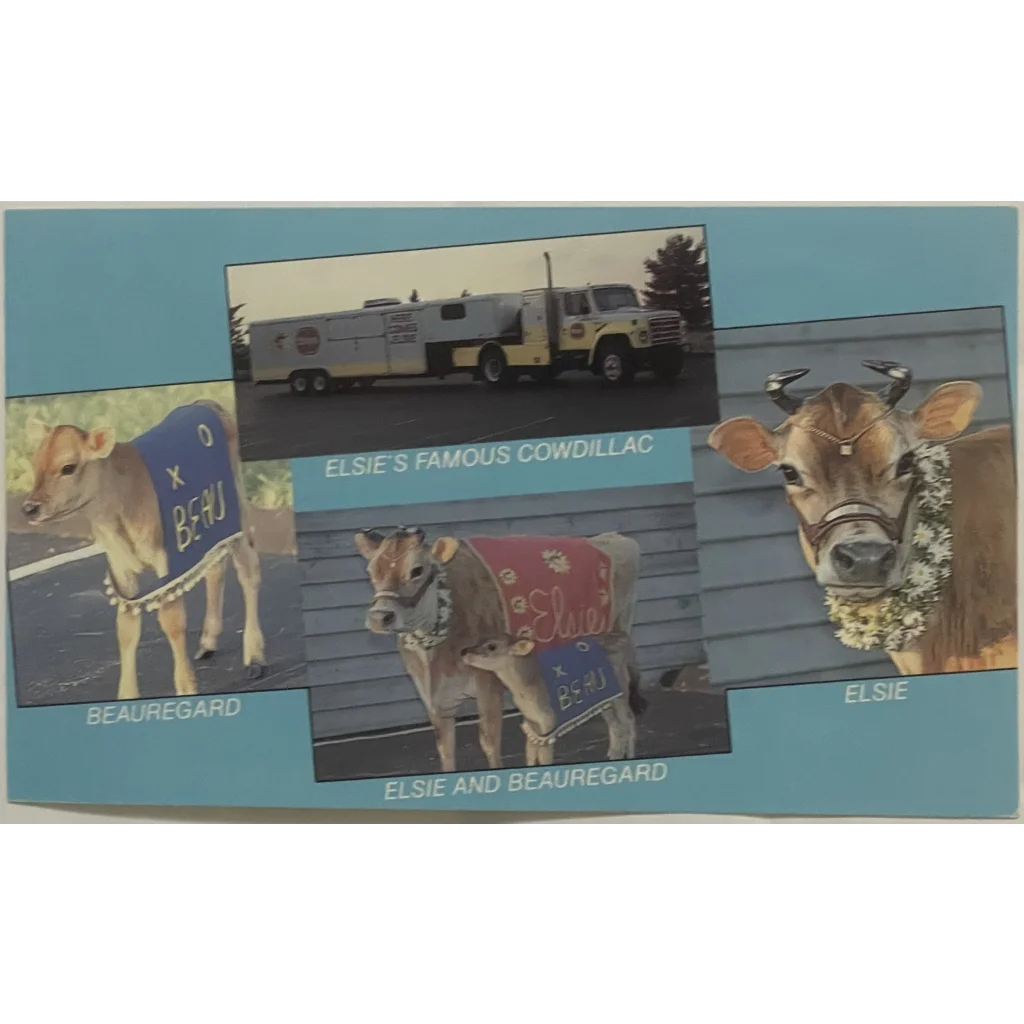 Vintage Elsie and Beauregard 🐄 Borden Cow Postcard RIP to Another USA Icon! Collectibles Antique Collectible Items