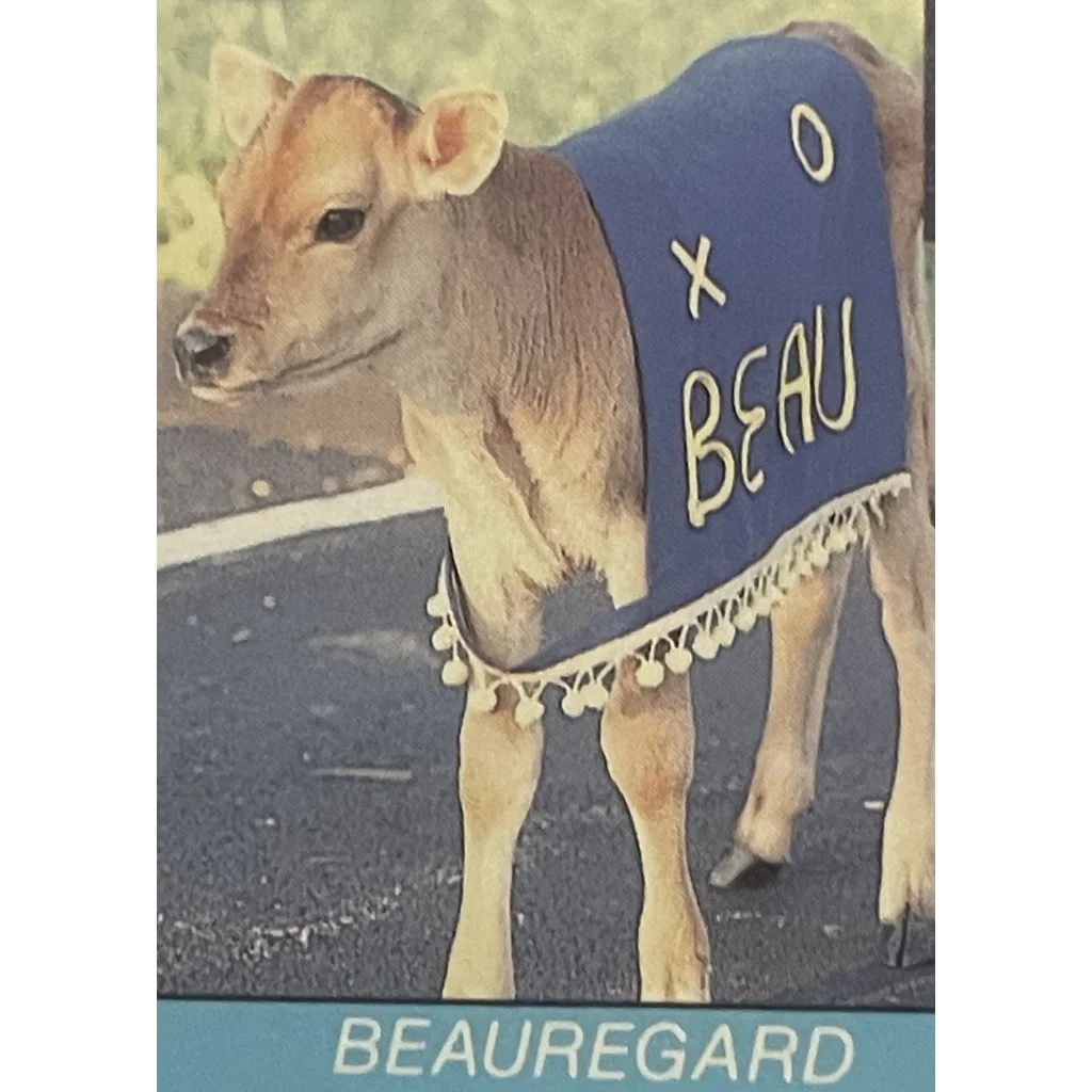 Vintage Elsie and Beauregard 🐄 Borden Cow Postcard RIP to Another USA Icon! - Collectibles - Antique Misc. Memorabilia.