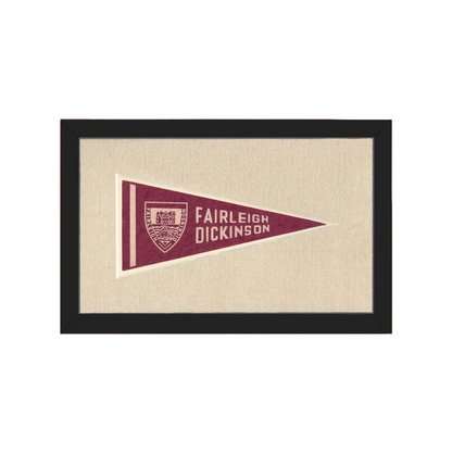 Vintage Fairleigh Dickinson Pennant | Americana Memories | vintageantiquesgifts.com