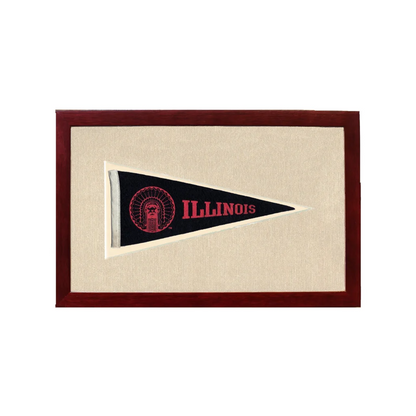 Vintage Illinois Pennant | 1950s Wool Felt Pennant Framed Display | vintageantiquesgifts.com