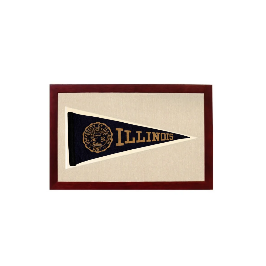 Vintage Illinois Pennant | 1950s Wool Felt Pennant Framed Display | vintageantiquesgifts.com