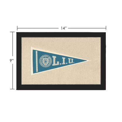 Vintage Long Island University Pennant | Vintage Collectible Sports Pennant | vintageantiquesgifts.com