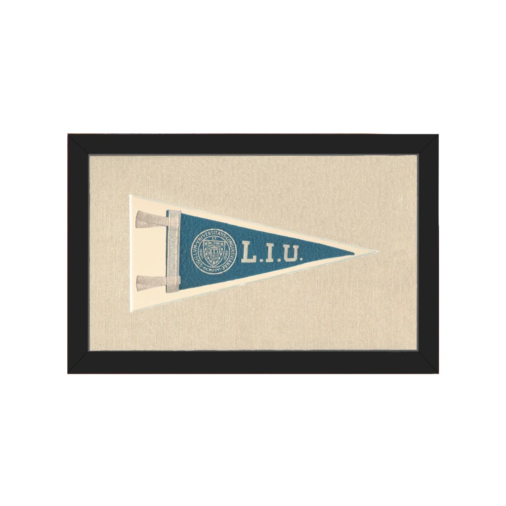 Vintage Long Island University Pennant | Americana Memories | vintageantiquesgifts.com