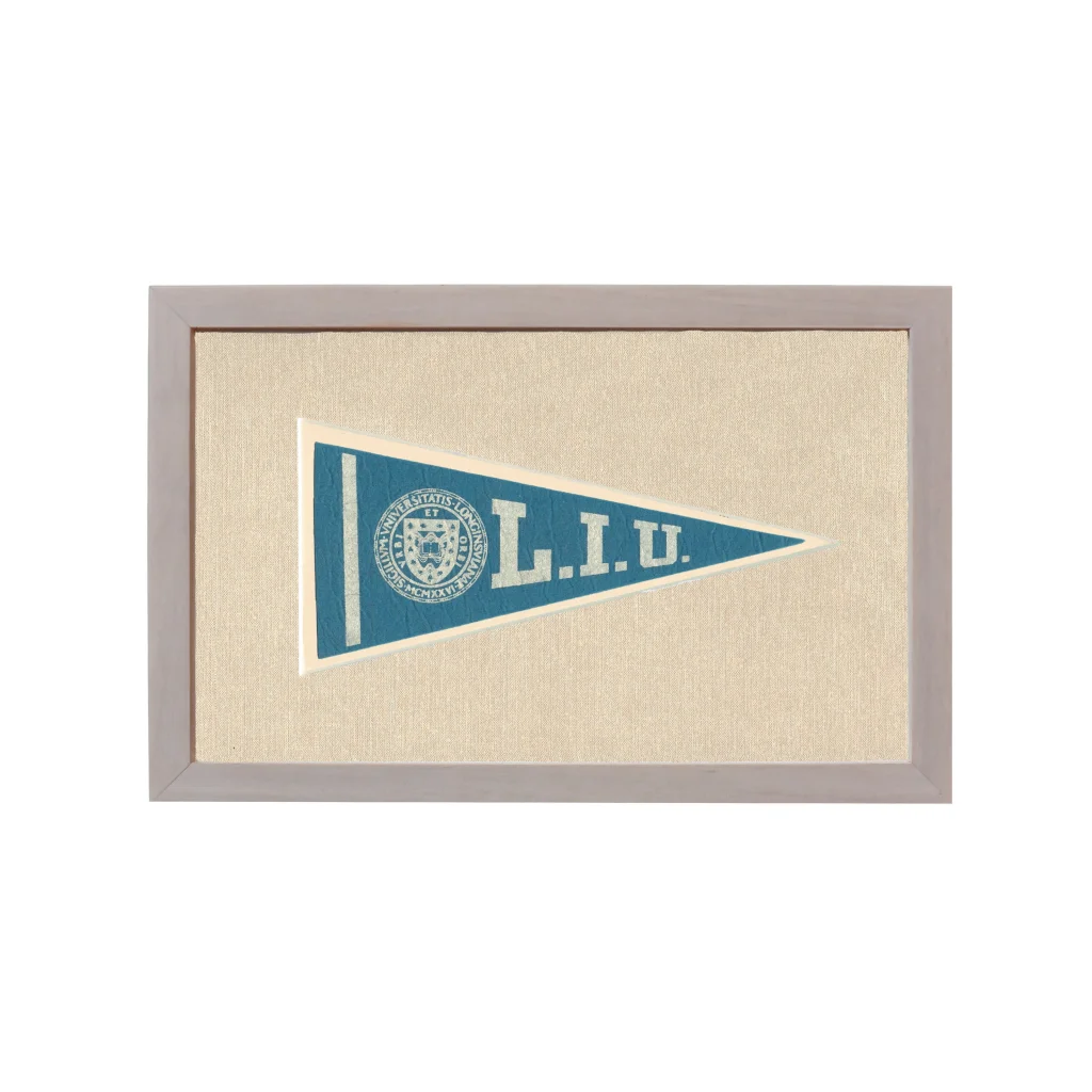 Vintage Long Island University Pennant | Rare Vintage Wool Felt Pennant Flag | vintageantiquesgifts.com