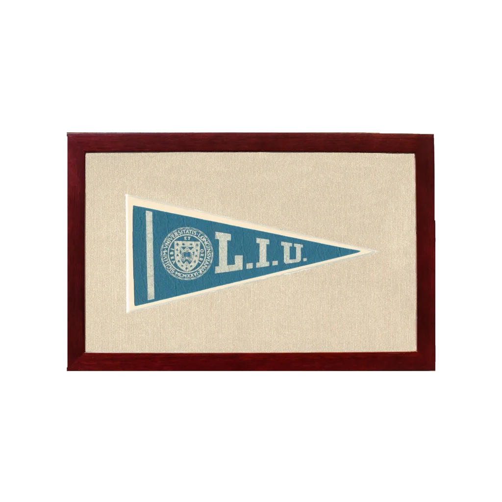 Vintage Long Island University Pennant | 1950s Wool Felt Pennant Framed Display | vintageantiquesgifts.com