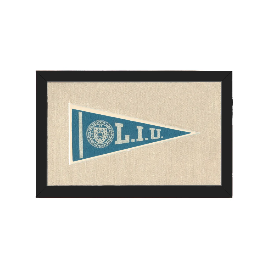 Vintage Long Island University Pennant | Americana Memories | vintageantiquesgifts.com