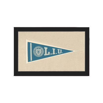 Vintage Long Island University Pennant | Americana Memories | vintageantiquesgifts.com