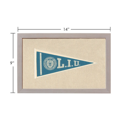 Framed vintage Long Island University pennant in blue and white