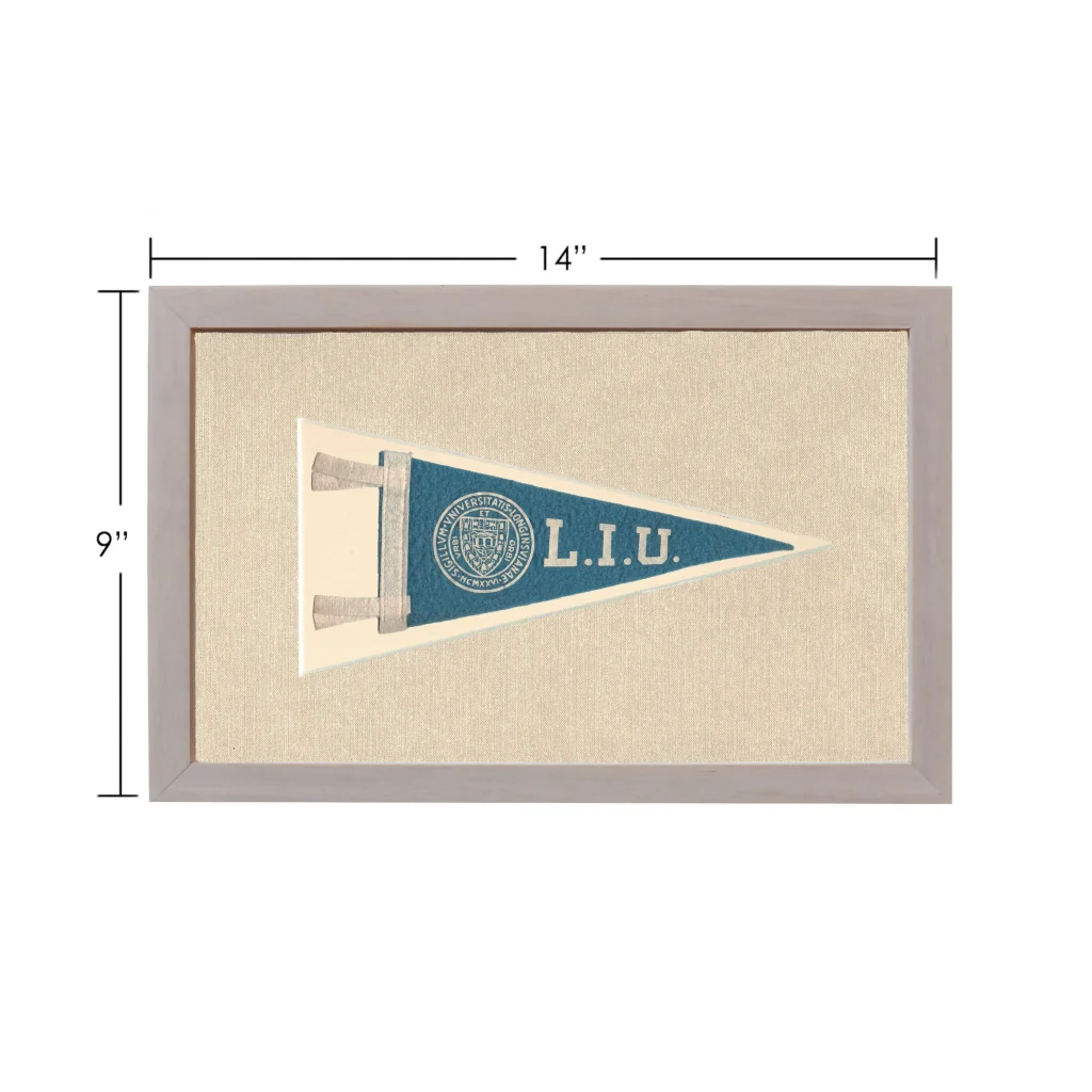 Vintage Long Island University pennant with navy blue field and LIU emblem