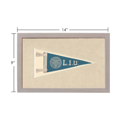 Vintage Long Island University pennant with navy blue field and LIU emblem