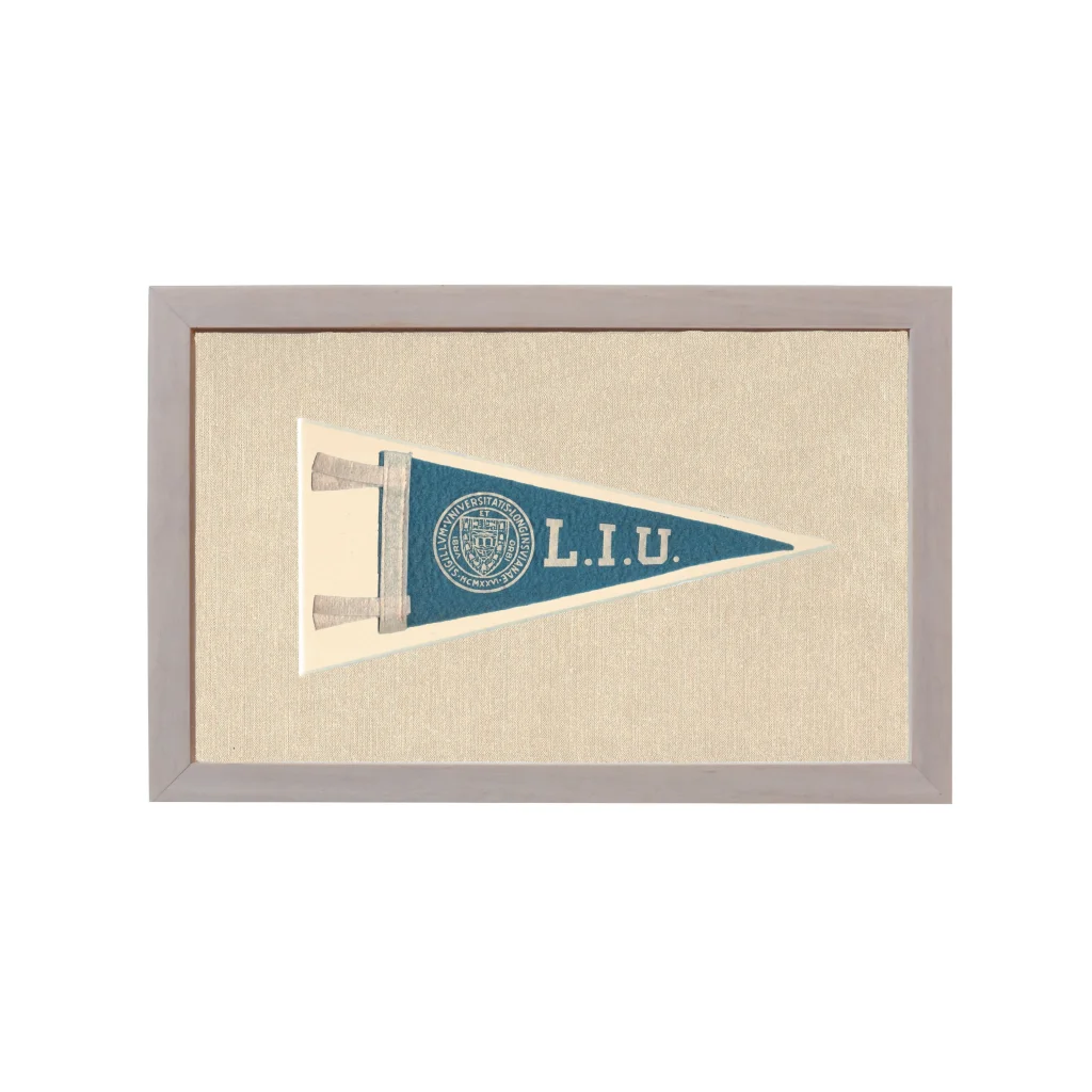 Vintage Long Island University Pennant | Rare Vintage Wool Felt Pennant Flag | vintageantiquesgifts.com