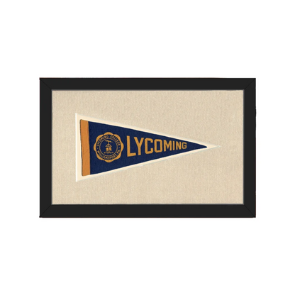 Vintage Lycoming College Pennant | Americana Memories | vintageantiquesgifts.com