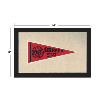 Vintage Michigan State Pennant | Vintage Collectible Sports Pennant | vintageantiquesgifts.com