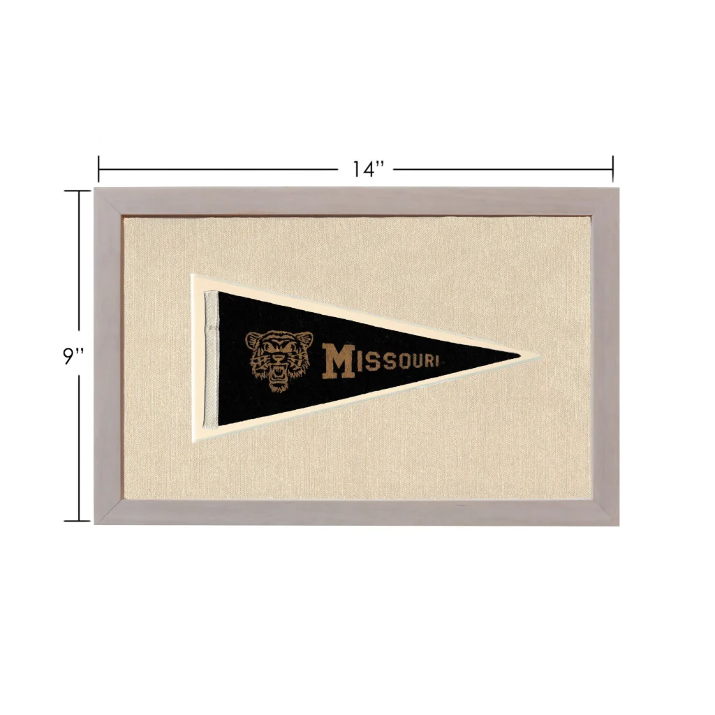 Vintage Missouri pennant with gold tiger head in gray frame