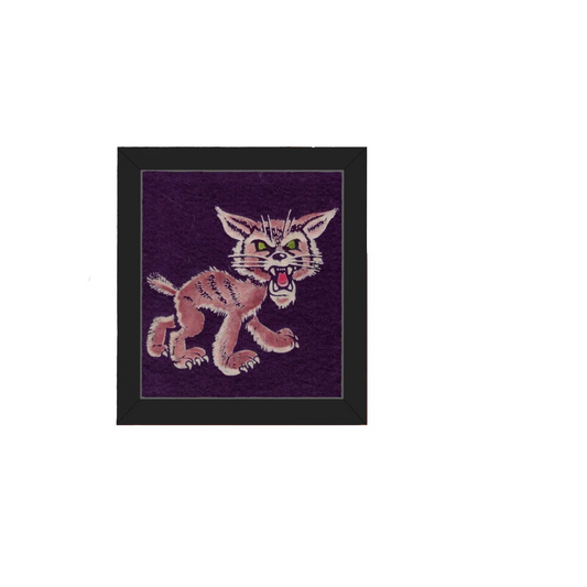 Vintage Northwestern Mascot Patch | Americana Memories | vintageantiquesgifts.com
