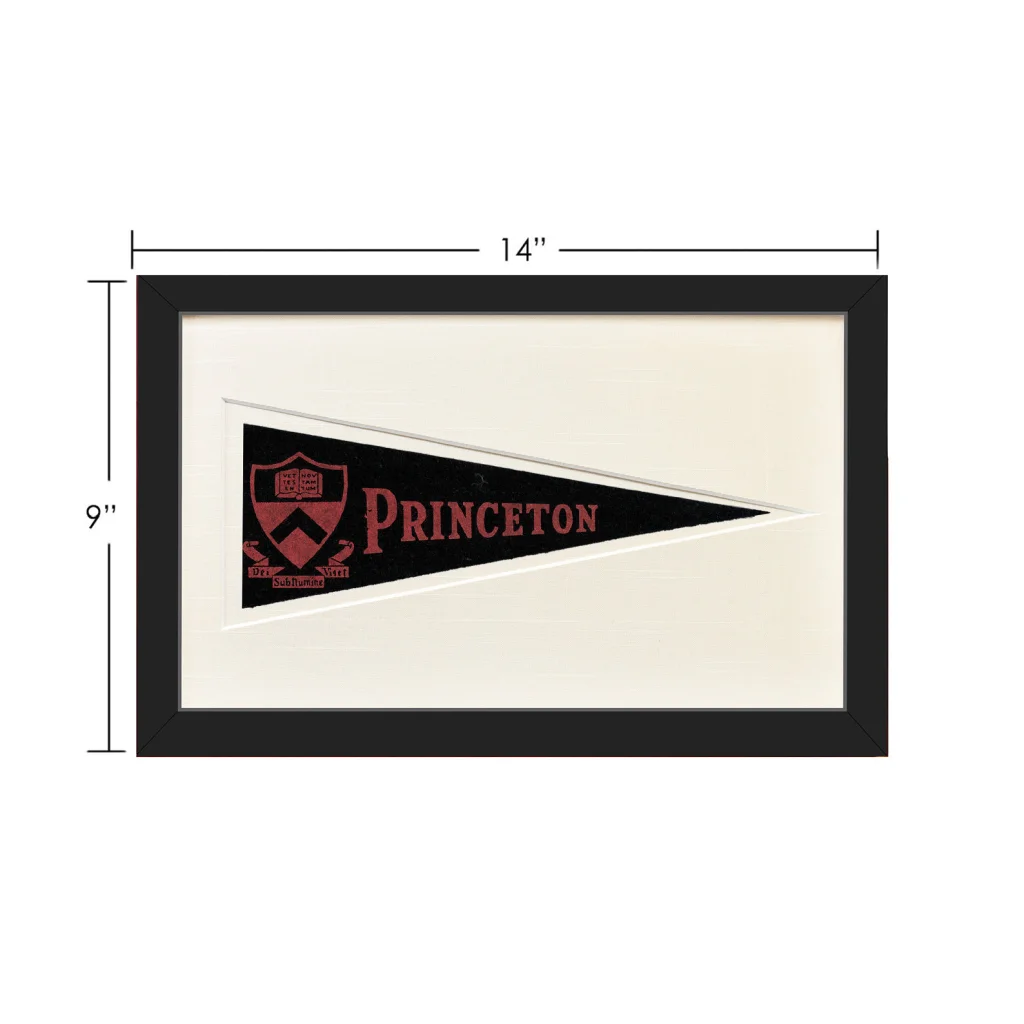 Vintage Princeton wool felt pennant framed in black with cream matting