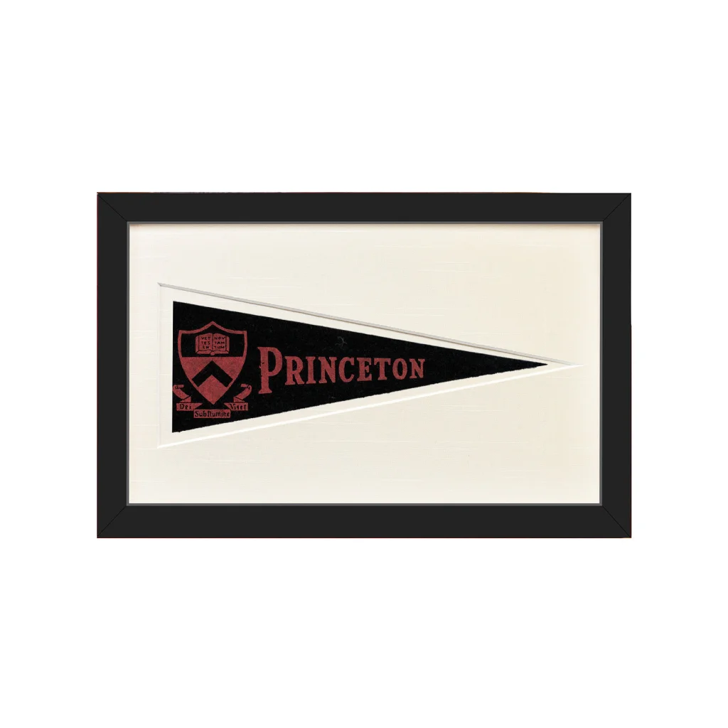 Vintage Princeton wool felt pennant in black frame