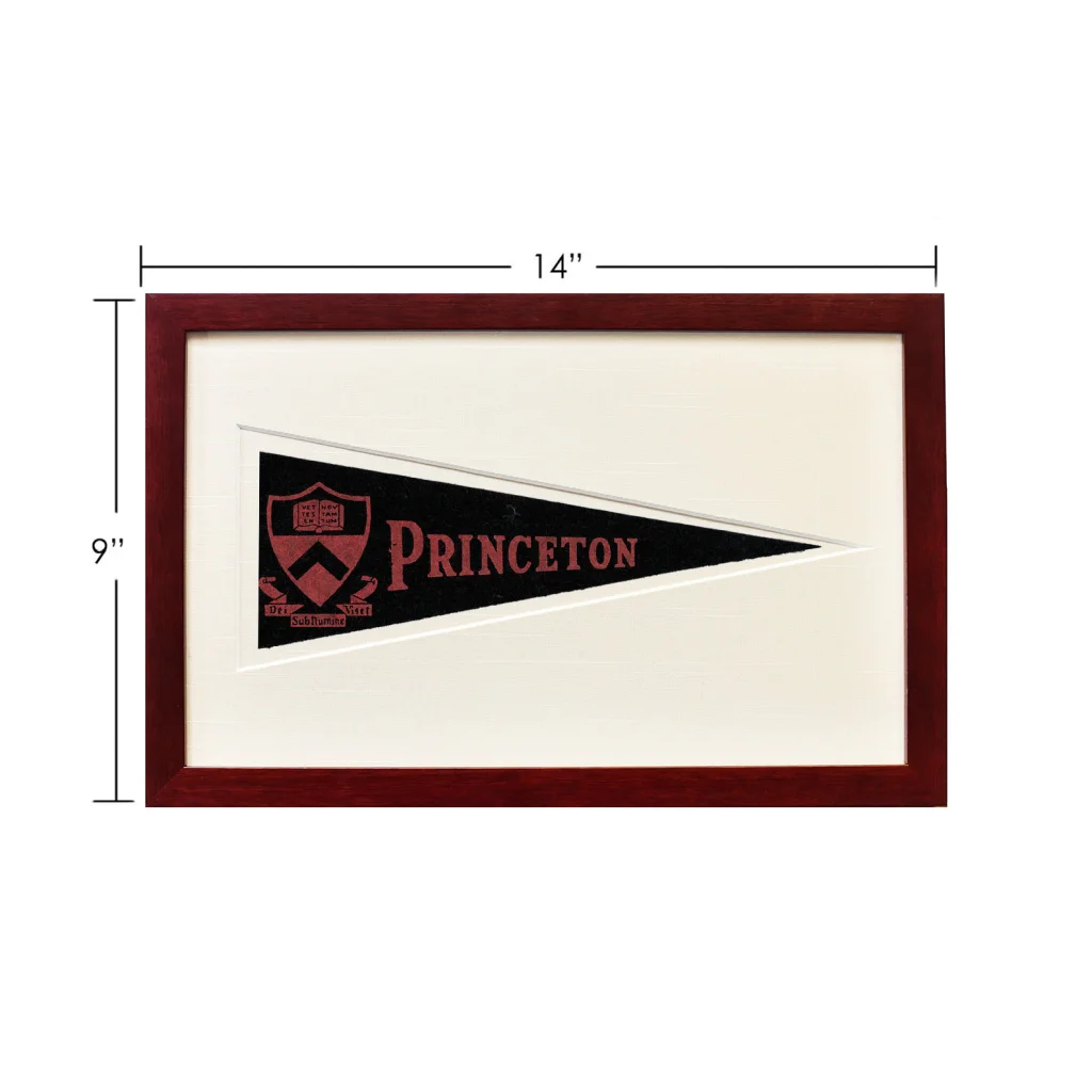 Vintage Princeton wool felt pennant framed comic book style wall art