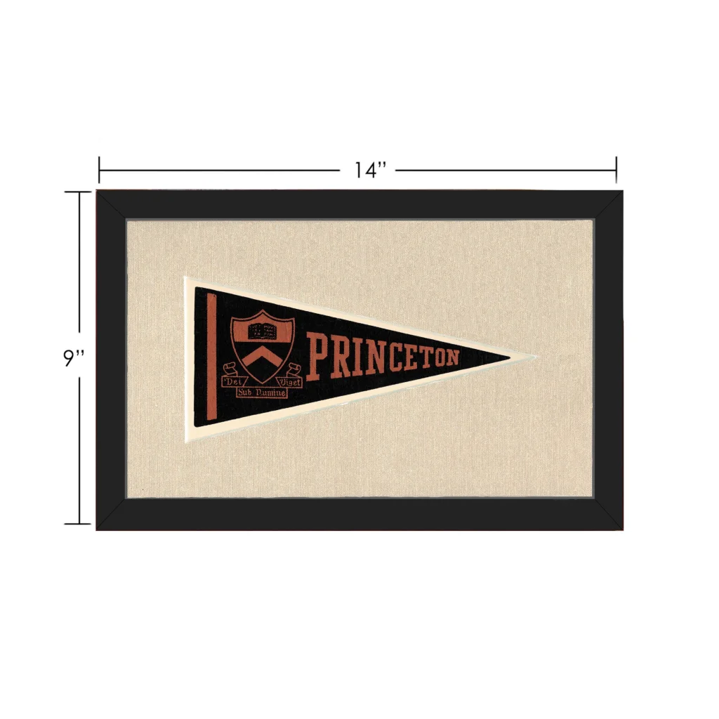 Vintage Princeton Pennant | Vintage Collectible Sports Pennant | vintageantiquesgifts.com