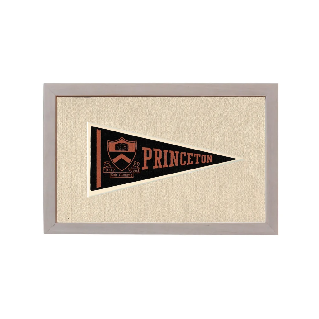 Vintage Princeton Pennant | Rare Vintage Wool Felt Pennant Flag | vintageantiquesgifts.com