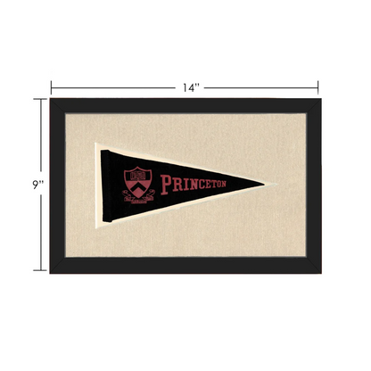 Vintage Princeton Pennant | Vintage Collectible Sports Pennant | vintageantiquesgifts.com