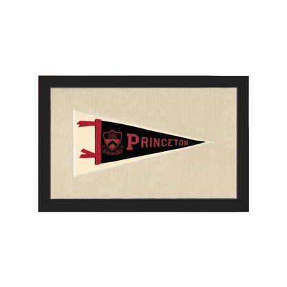 Vintage Princeton Pennant | Americana Memories | vintageantiquesgifts.com
