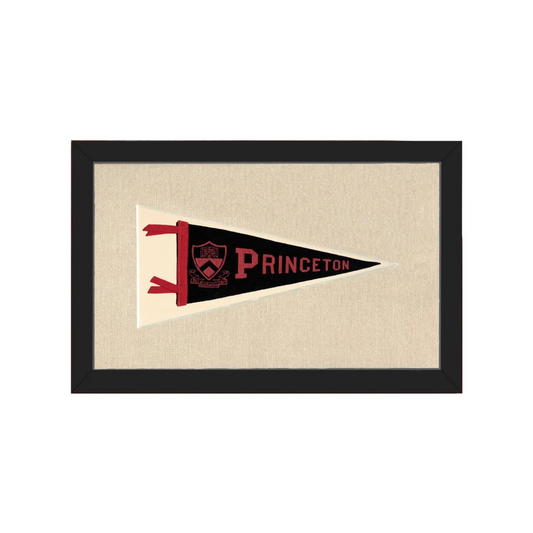 Vintage Princeton Pennant | Americana Memories | vintageantiquesgifts.com