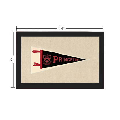Vintage Princeton Pennant | Vintage Collectible Sports Pennant | vintageantiquesgifts.com