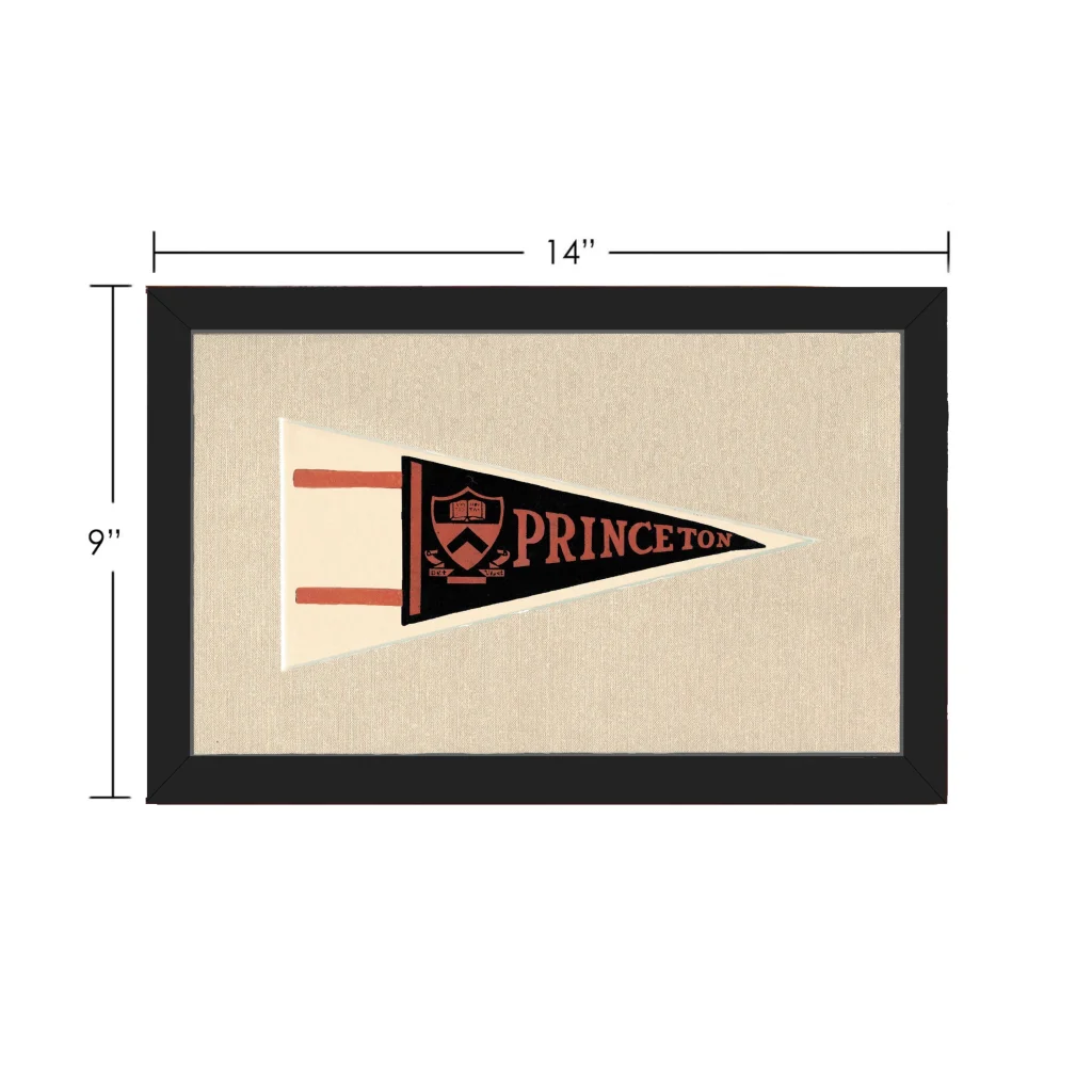 Vintage Princeton Pennant | Vintage Collectible Sports Pennant | vintageantiquesgifts.com