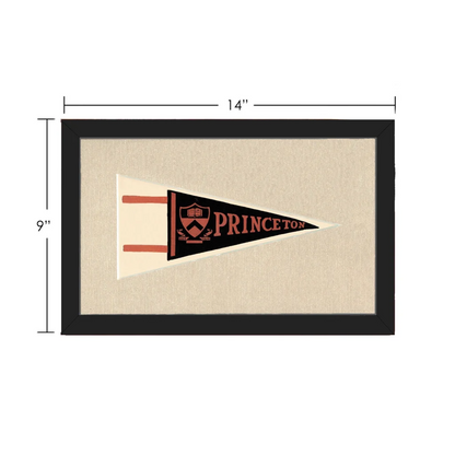 Vintage Princeton Pennant | Vintage Collectible Sports Pennant | vintageantiquesgifts.com