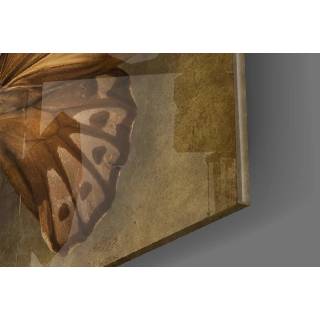 Vintage sepia butterfly canvas wall art print with intricate wings