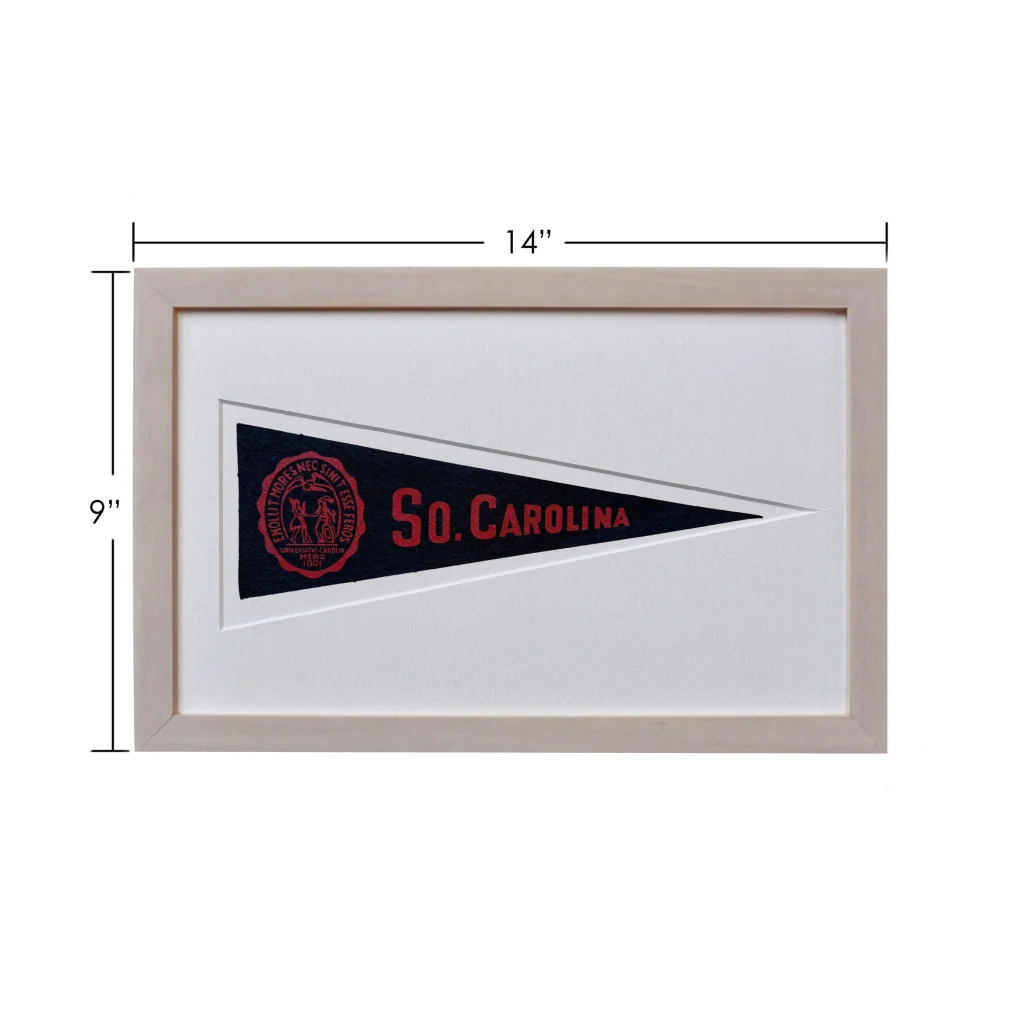 Vintage 1950s South Carolina wool felt pennant with 14-inch framed so