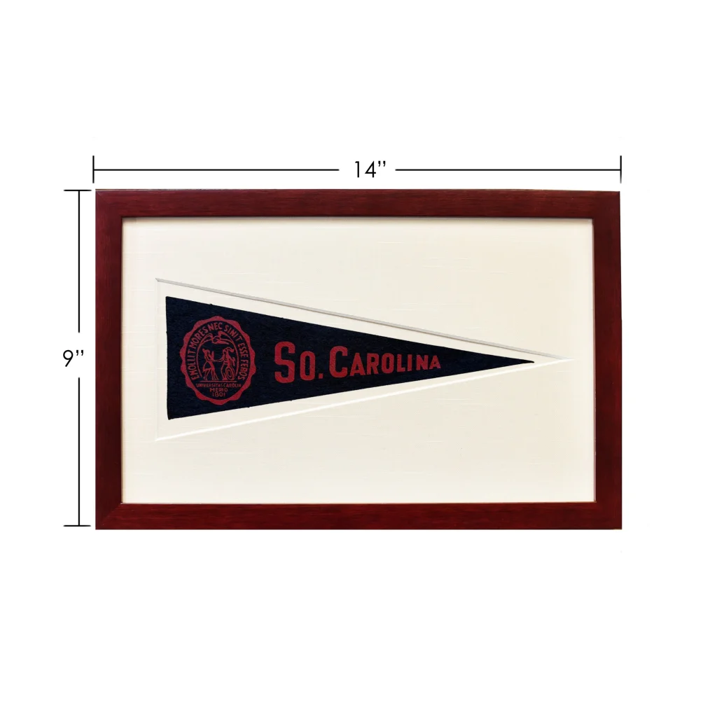 Vintage 1950s South Carolina wool felt pennant with 14-inch framed so