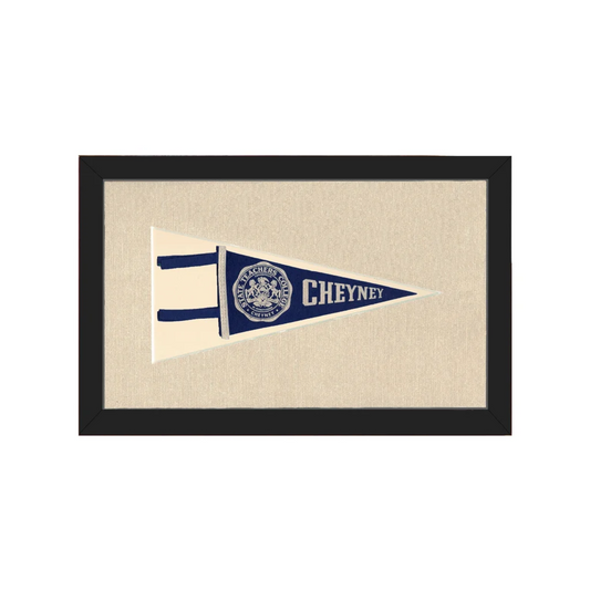 Vintage State Teachers College Pennant | Americana Memories | vintageantiquesgifts.com