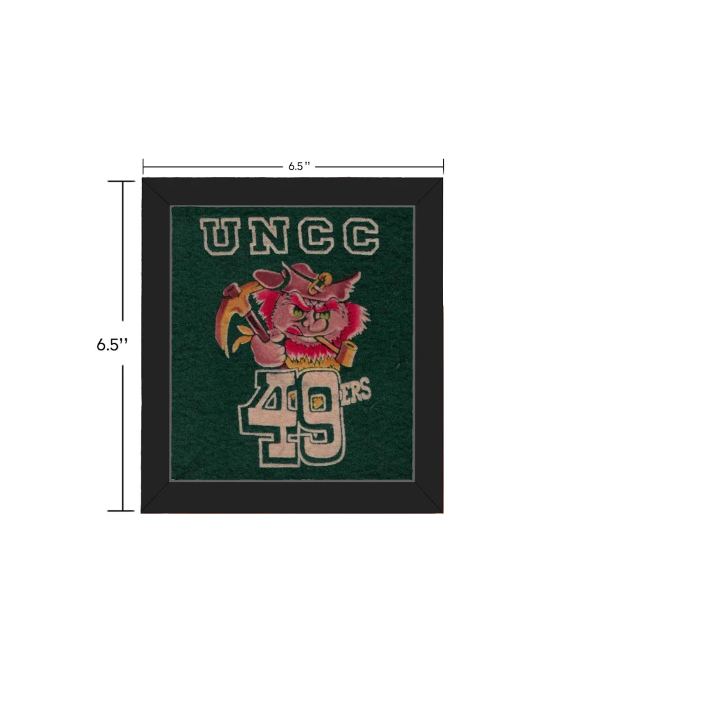 Vintage UNC Charlotte mascot patch with green embroidered design